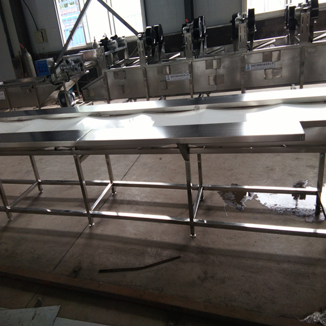 帶輸送機圖片/帶輸送機樣板圖 (3)