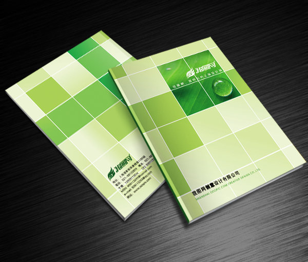 畫(huà)冊(cè)印刷圖片/畫(huà)冊(cè)印刷樣板圖 (4)