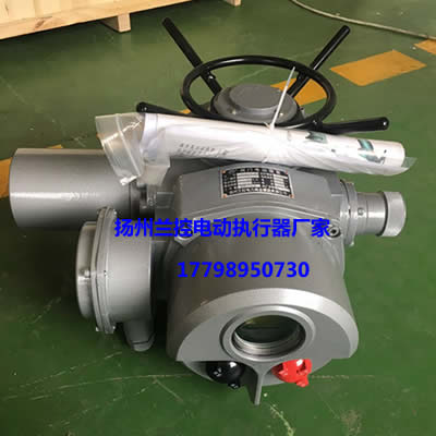 電動(dòng)執(zhí)行器LKIZZ30圖片