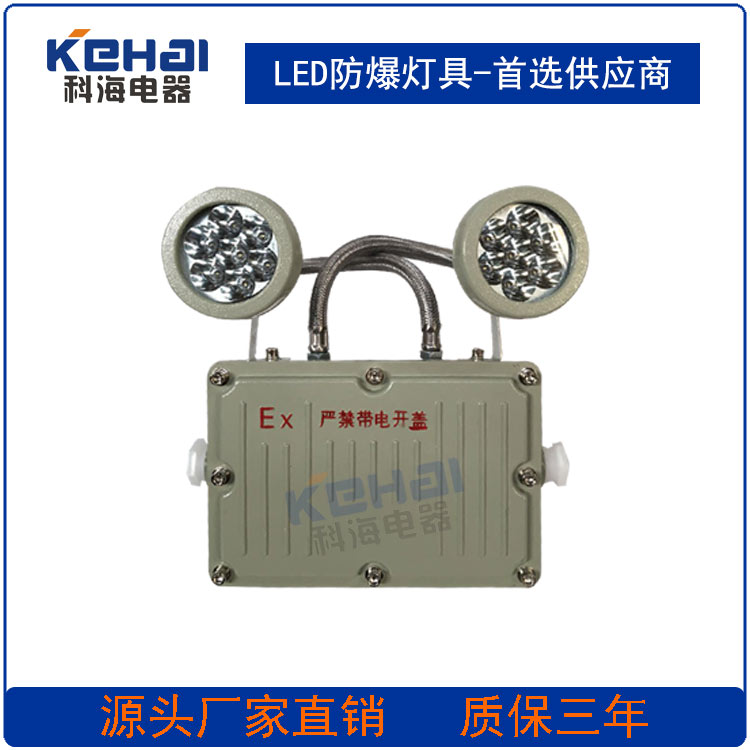 防爆應(yīng)急燈圖片/防爆應(yīng)急燈樣板圖 (2)