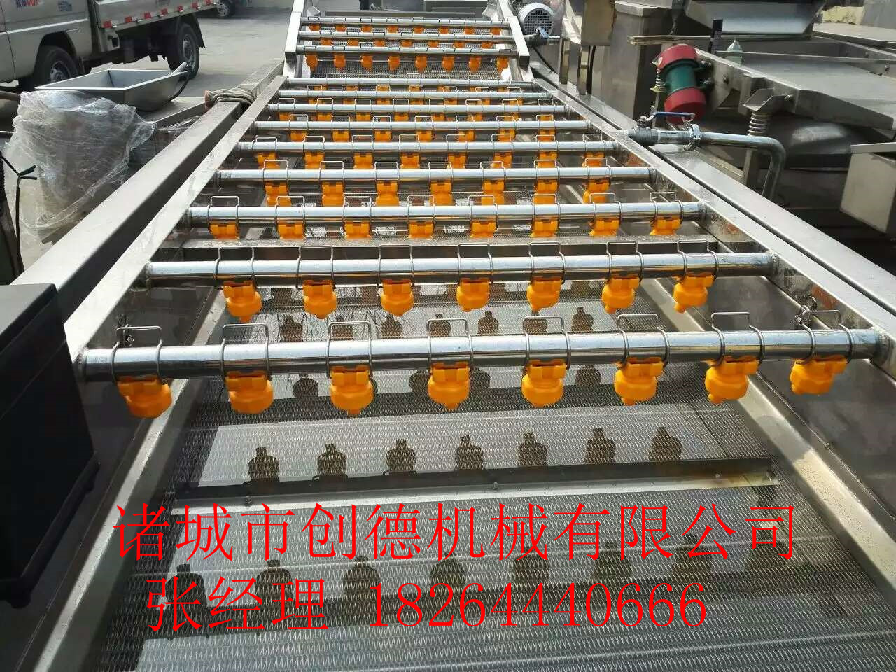 菠菜清洗機(jī)圖片/菠菜清洗機(jī)樣板圖 (1)