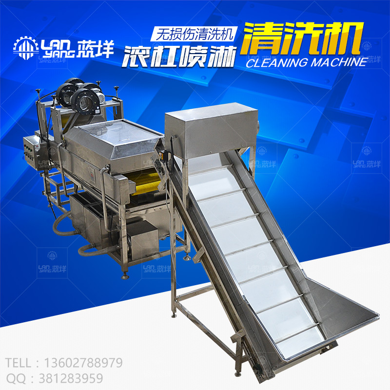 菠菜清洗機(jī)圖片/菠菜清洗機(jī)樣板圖 (1)