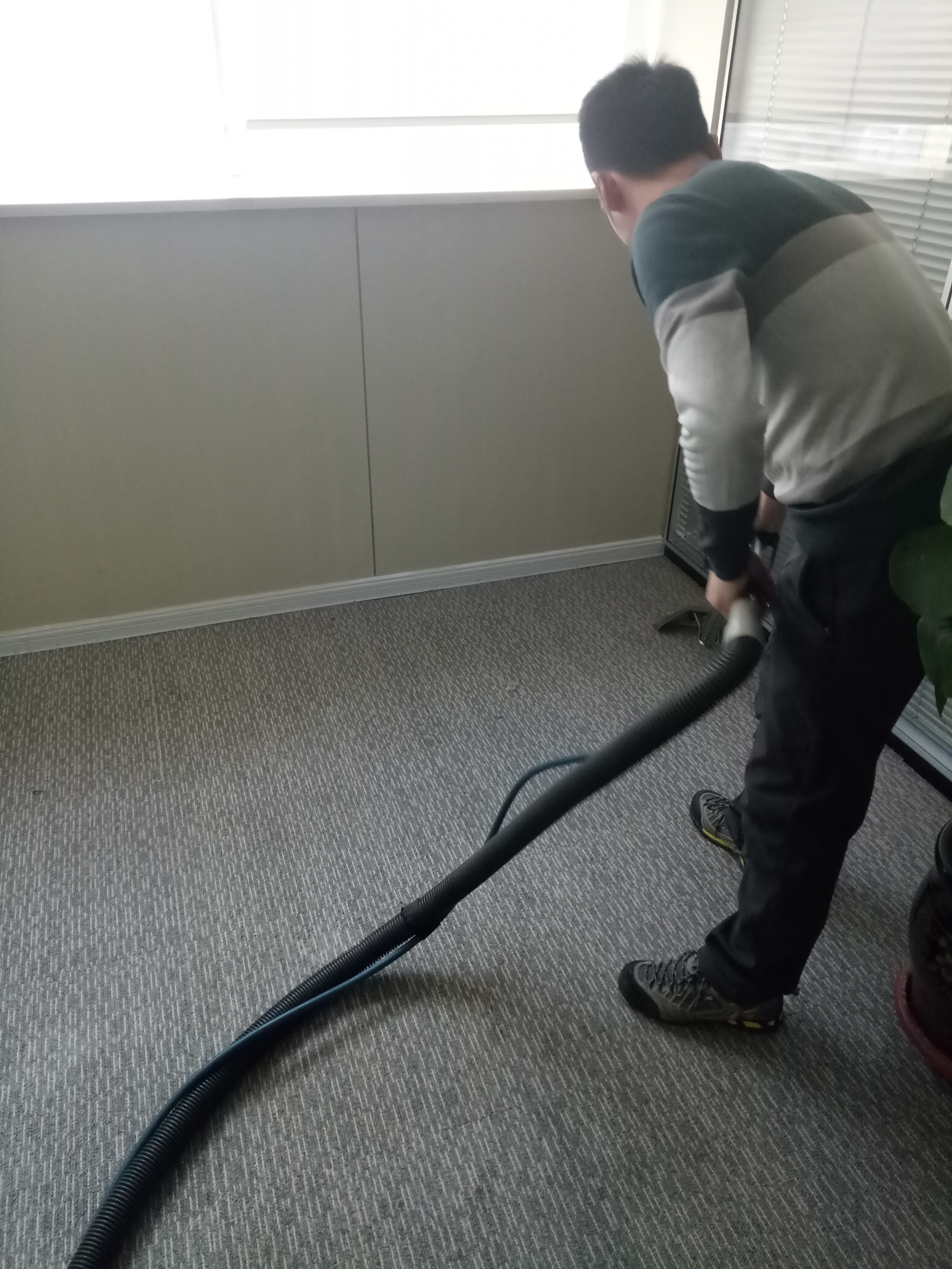 清洗地毯清洗沙發(fā)圖片/清洗地毯清洗沙發(fā)樣板圖 (2)