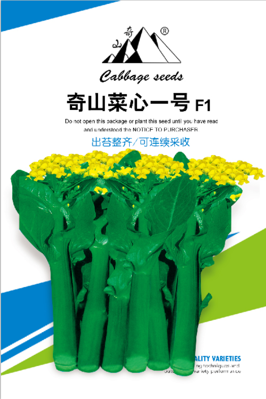 奇山雜交菜心種子，盛琪蔬菜種子公司銷售，基地選擇優(yōu)質(zhì)雜交菜心種子