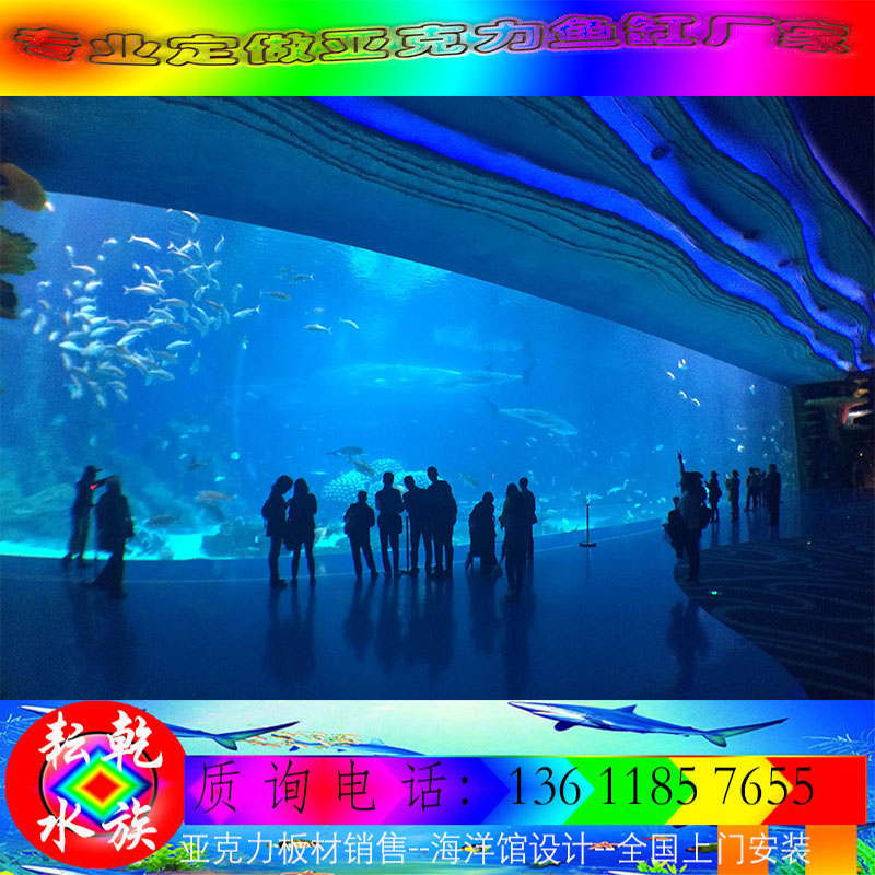 海洋館圖片/海洋館樣板圖 (3)