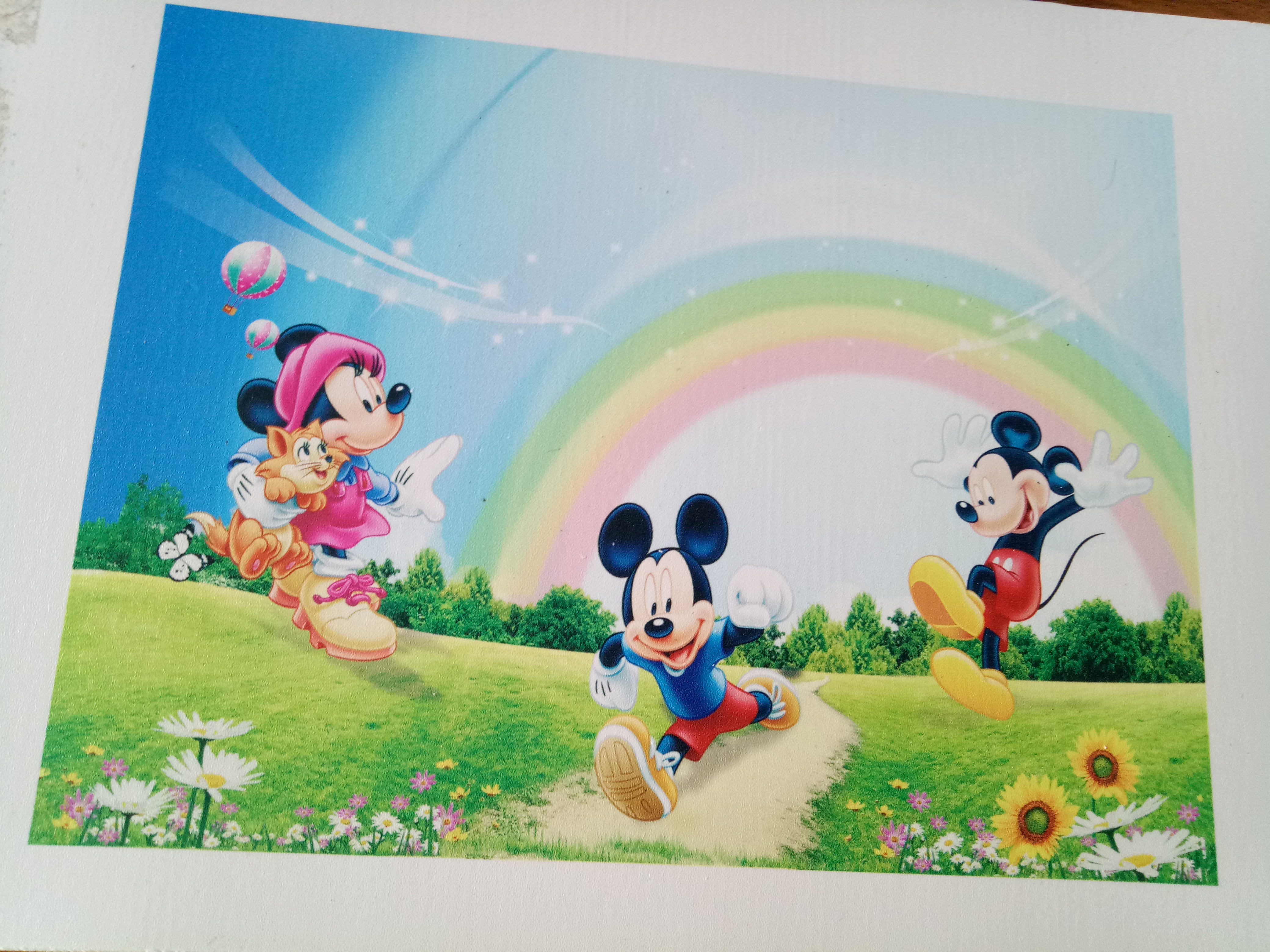 竹木纖維圖片/竹木纖維樣板圖 (2)