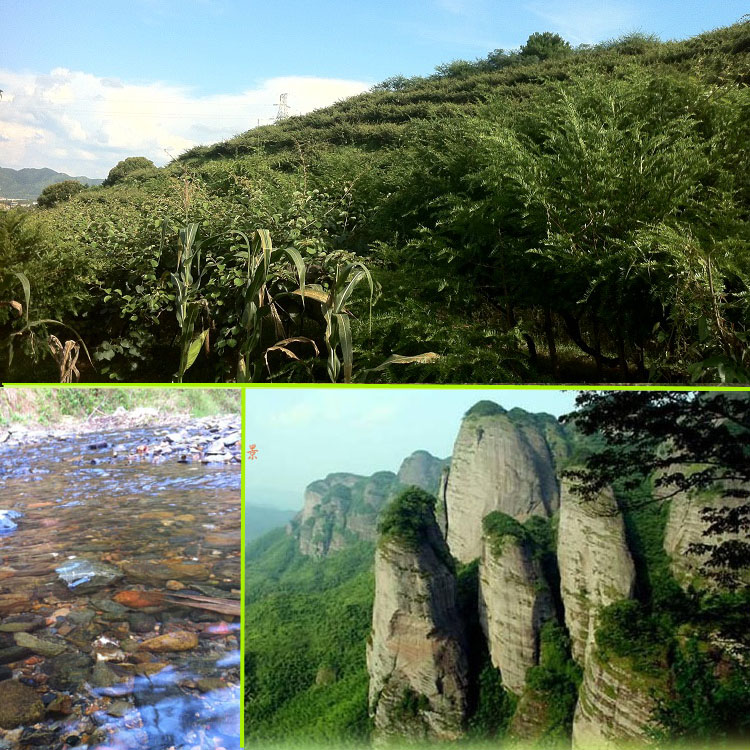 農(nóng)特產(chǎn)品代銷購費(fèi)用本地特產(chǎn)特色干