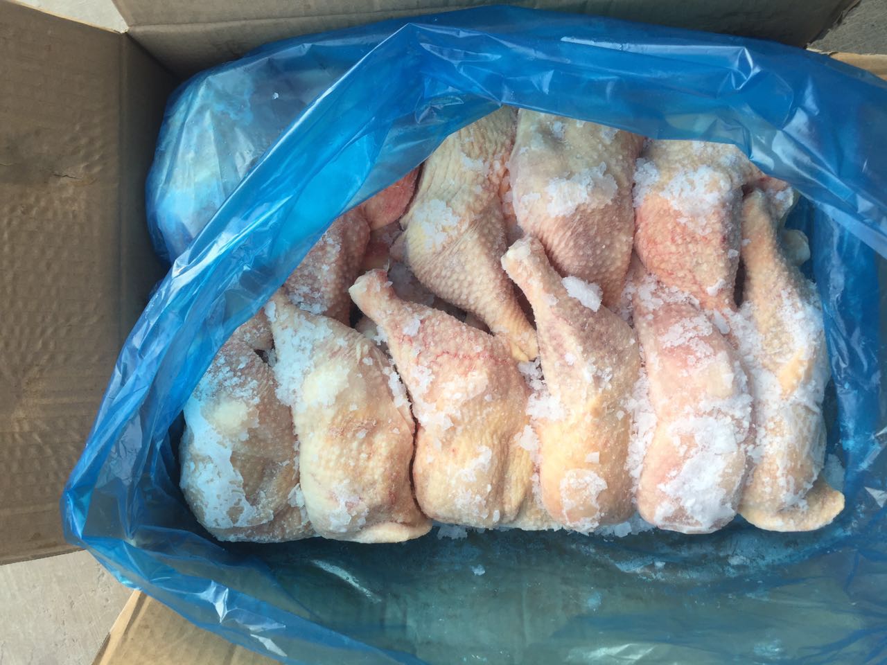 種雞排腿圖片