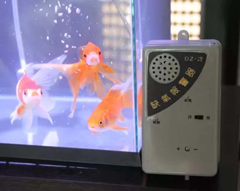 魚(yú)塘缺氧報(bào)警器家用水族產(chǎn)活海鮮魚(yú)池缸運(yùn)輸車(chē)養(yǎng)殖斷氣泵增氧