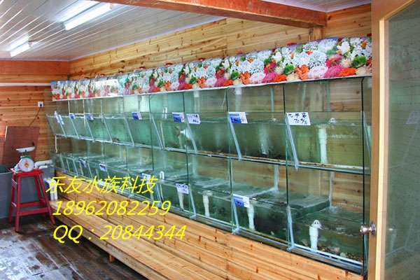海鮮魚缸圖片/海鮮魚缸樣板圖 (1)
