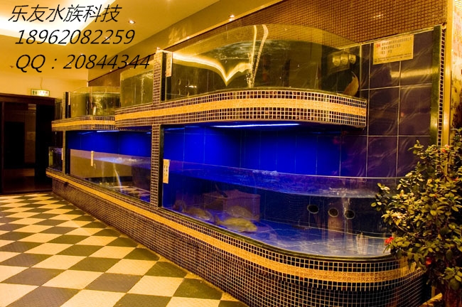 如皋海鮮魚缸定做圖片