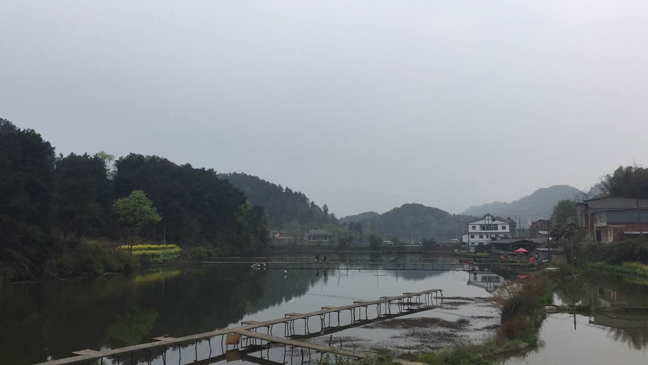 遵義縣馬家灣共青湖特種魚苗養(yǎng)殖場  遵義鯉魚苗養(yǎng)殖場