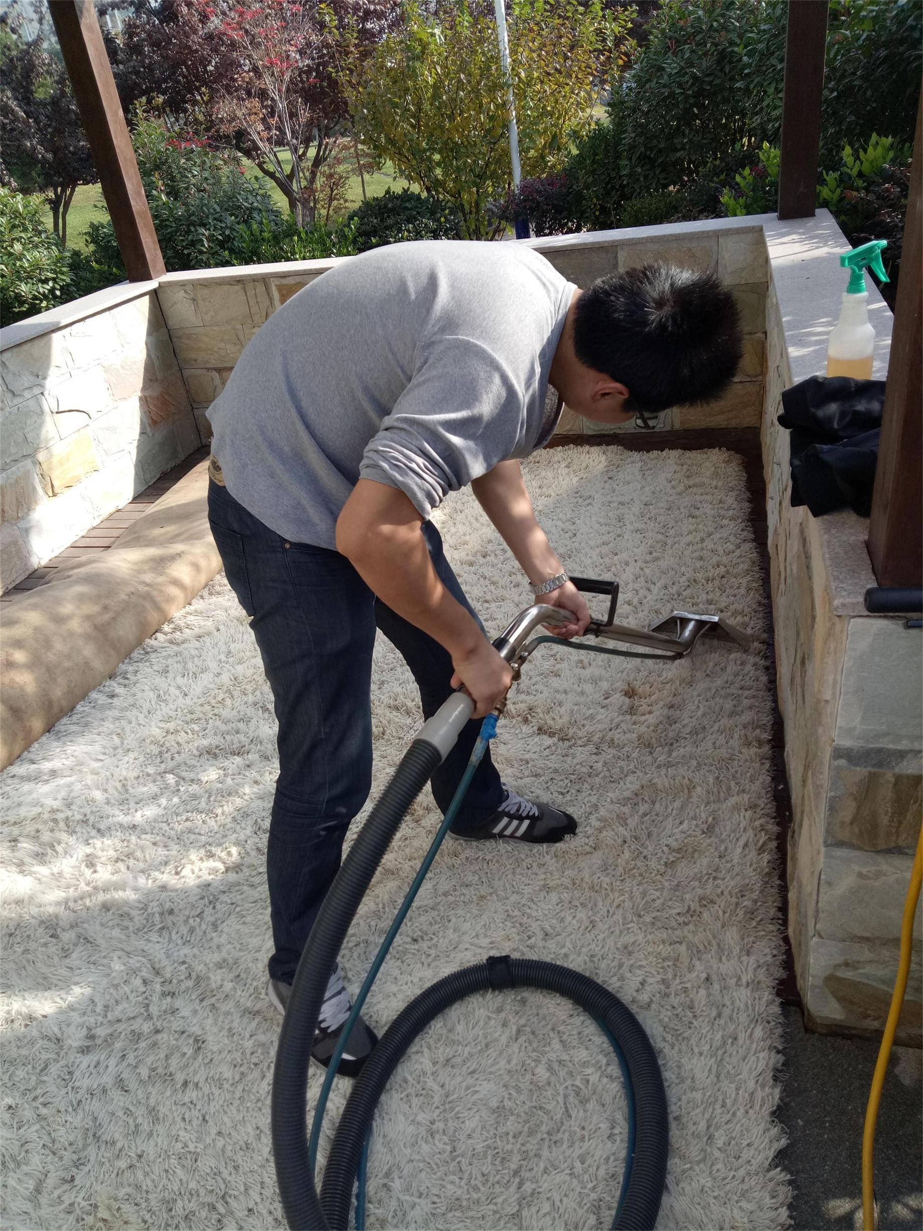 清洗地毯圖片/清洗地毯樣板圖 (3)