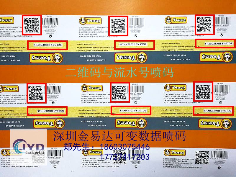 二維碼圖片/二維碼樣板圖 (2)