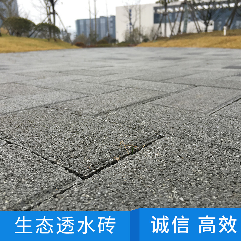 生態(tài)透水磚圖片/生態(tài)透水磚樣板圖 (3)