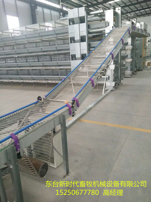 撿蛋機(jī)圖片/撿蛋機(jī)樣板圖 (1)