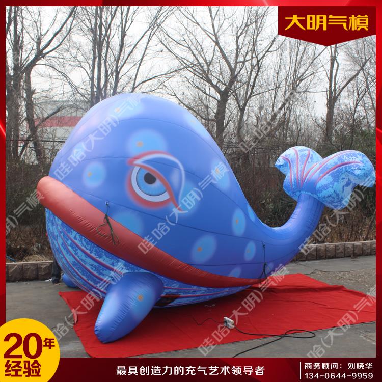 海豚氣模圖片/海豚氣模樣板圖 (3)