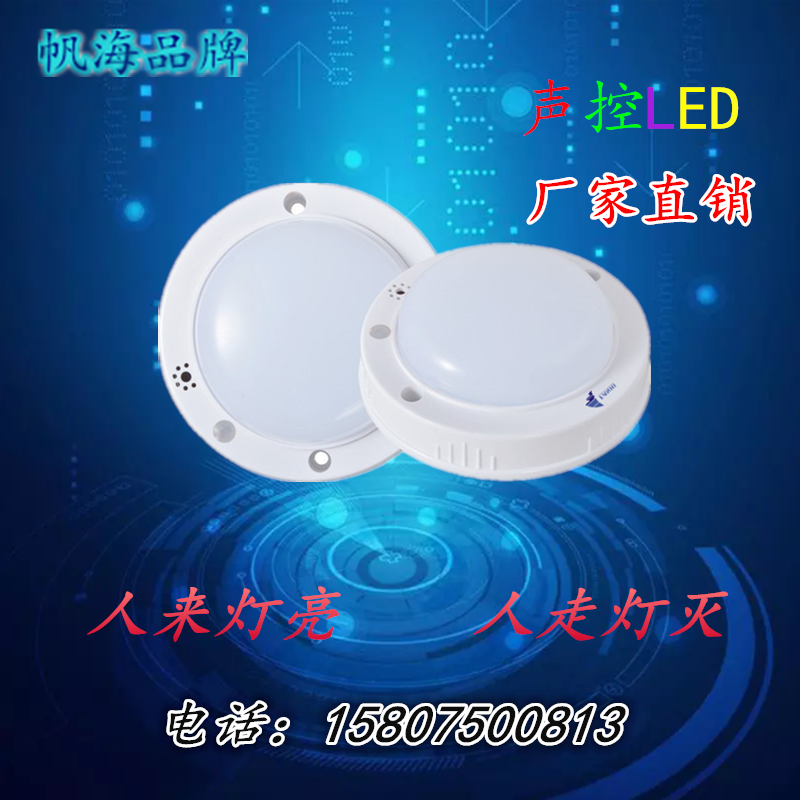 聲控?zé)魣D片/聲控?zé)魳影鍒D (4)