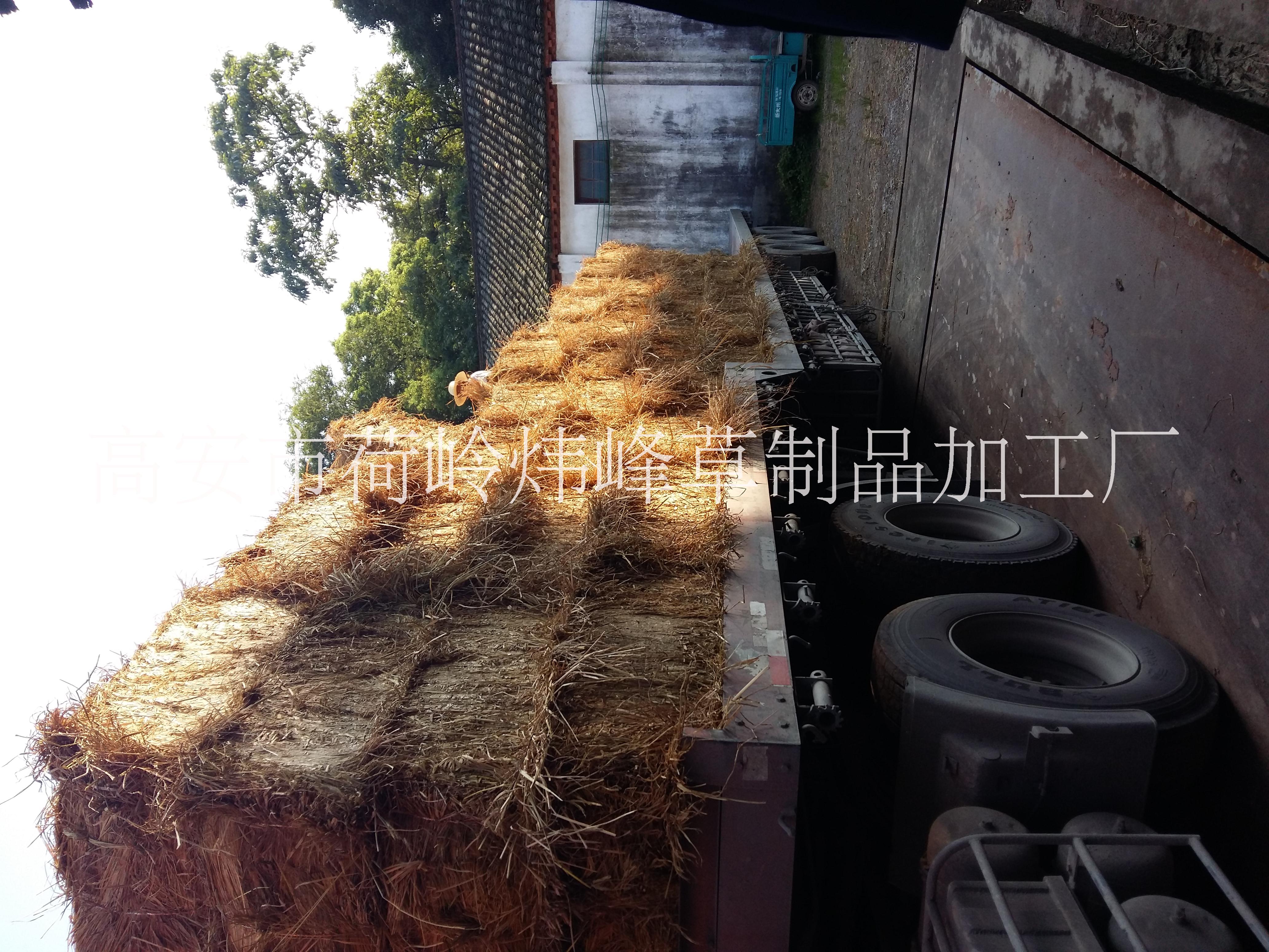 江西煒?lè)鍍?yōu)質(zhì)稻草圖片/江西煒?lè)鍍?yōu)質(zhì)稻草樣板圖 (3)