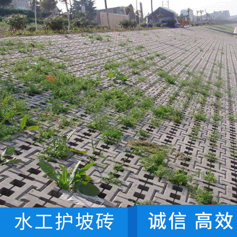 護(hù)坡磚圖片/護(hù)坡磚樣板圖 (2)