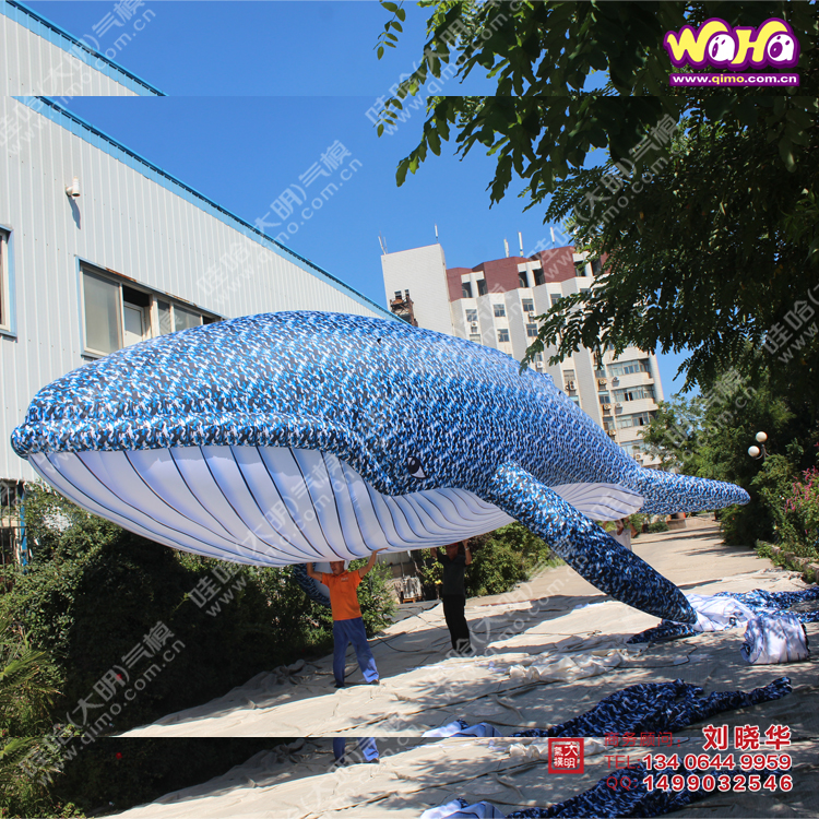 大鯨魚氣模圖片/大鯨魚氣模樣板圖 (2)