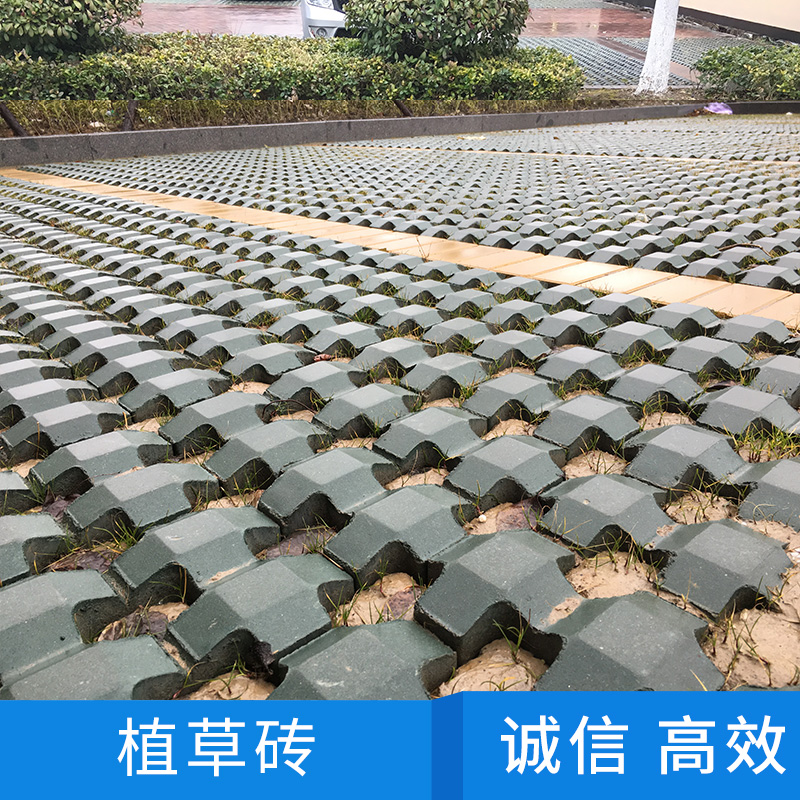 植草磚圖片/植草磚樣板圖 (2)