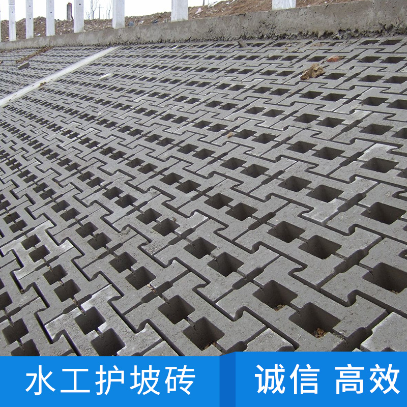 護(hù)坡磚圖片/護(hù)坡磚樣板圖 (1)