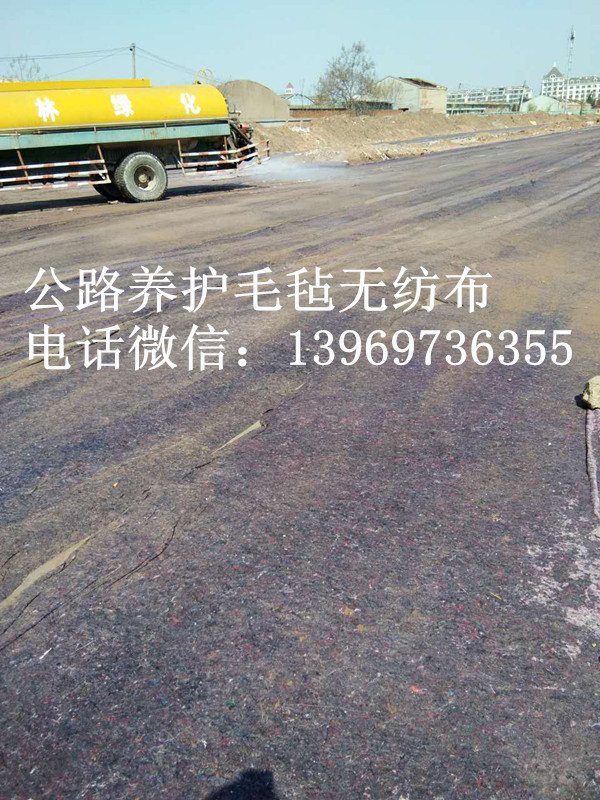 養(yǎng)護(hù)毛氈圖片/養(yǎng)護(hù)毛氈樣板圖 (3)