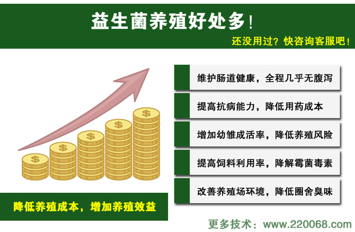 發(fā)酵劑圖片/發(fā)酵劑樣板圖 (2)