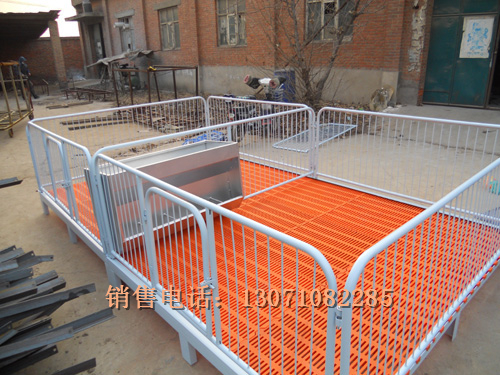 恒力養(yǎng)殖機械整體噴塑仔豬保育床圖片