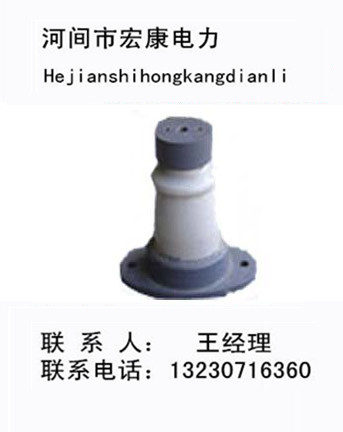 支柱絕緣子圖片/支柱絕緣子樣板圖 (4)