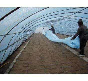 遮光無紡布圖片/遮光無紡布樣板圖 (1)