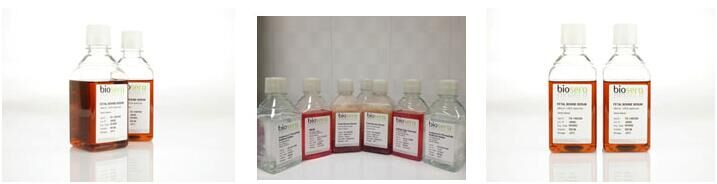 法國Biosera胎牛血清