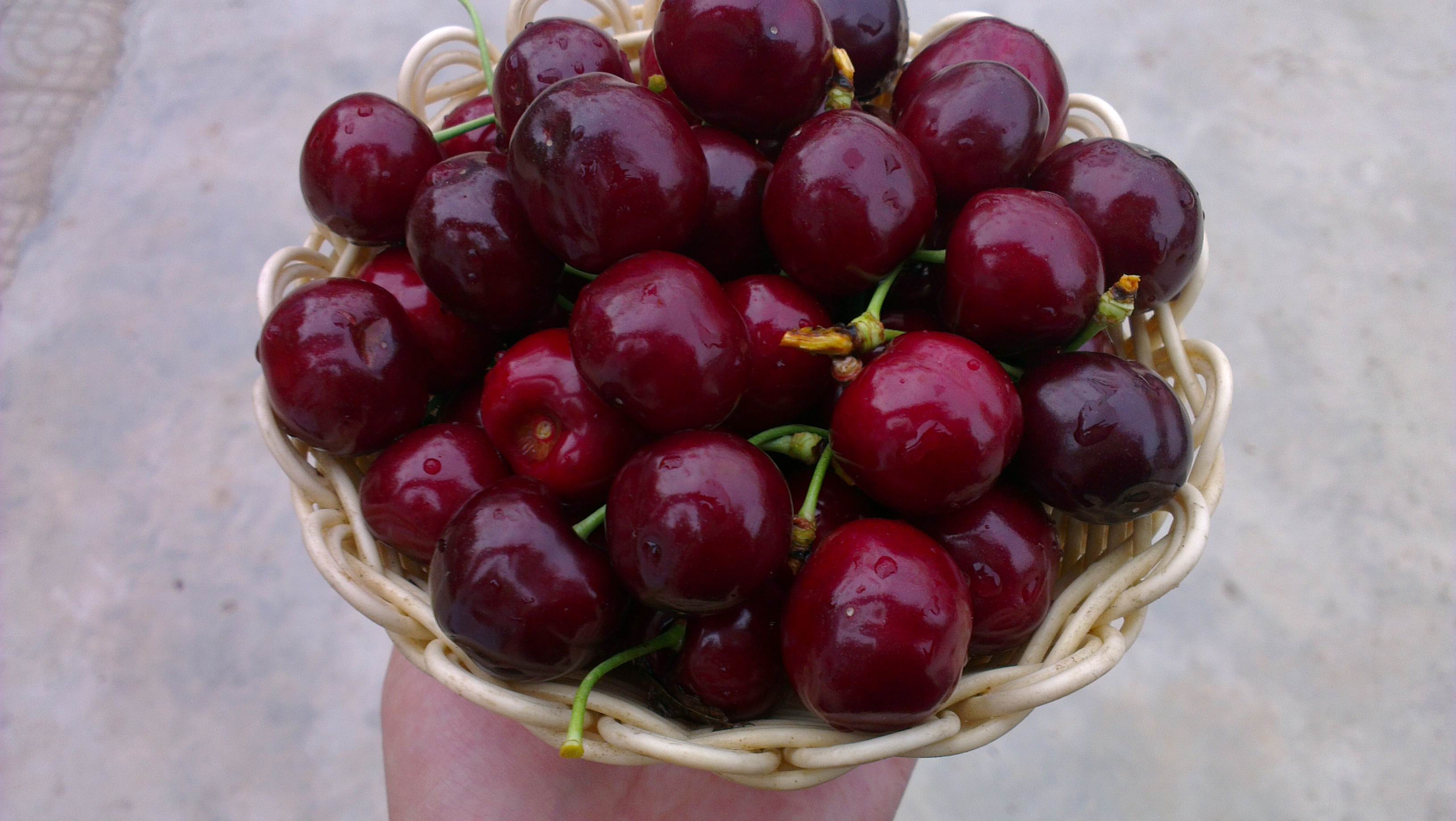 車(chē)?yán)遄哟髾烟覉D片/車(chē)?yán)遄哟髾烟覙影鍒D (4)