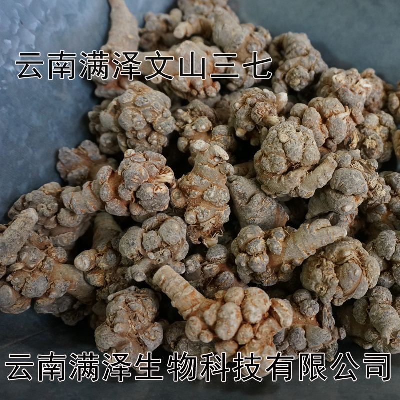 今日?qǐng)D片/今日樣板圖 (3)