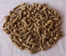 120頭三七批發(fā)圖片