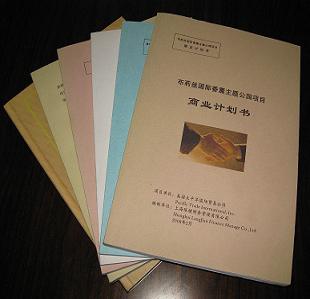 代寫商業(yè)計劃書圖片/代寫商業(yè)計劃書樣板圖 (1)