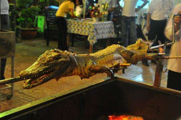 專業(yè)烤駱駝，烤鱷魚，烤乳豬服務(wù)圖片