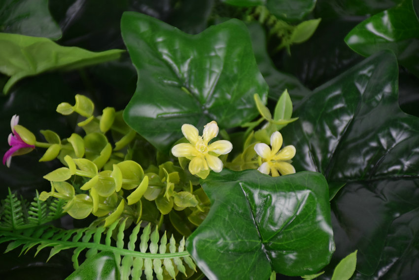 河北裝飾草坪供應商圖片/河北裝飾草坪供應商樣板圖 (2)