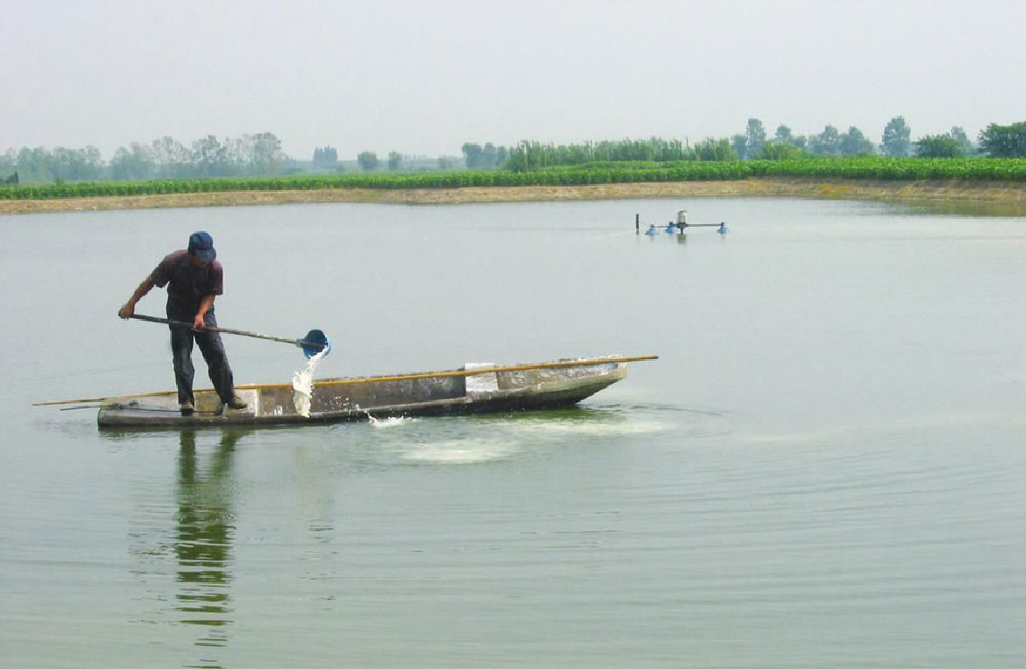 肥水精華素圖片/肥水精華素樣板圖 (3)