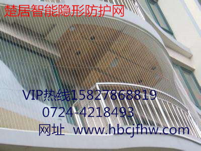 智能隱形防盜網(wǎng)圖片