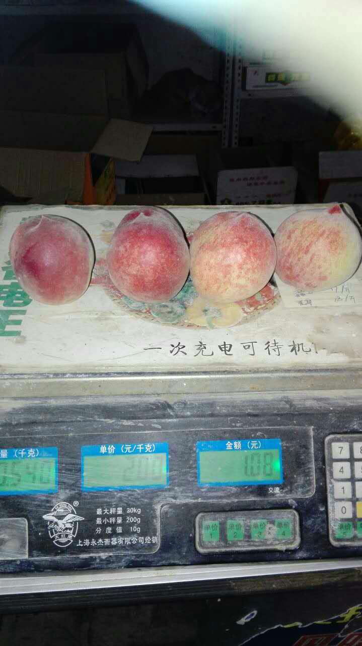 湖北新鮮水果  新鮮水蜜桃大量出售  新鮮水蜜桃基地
