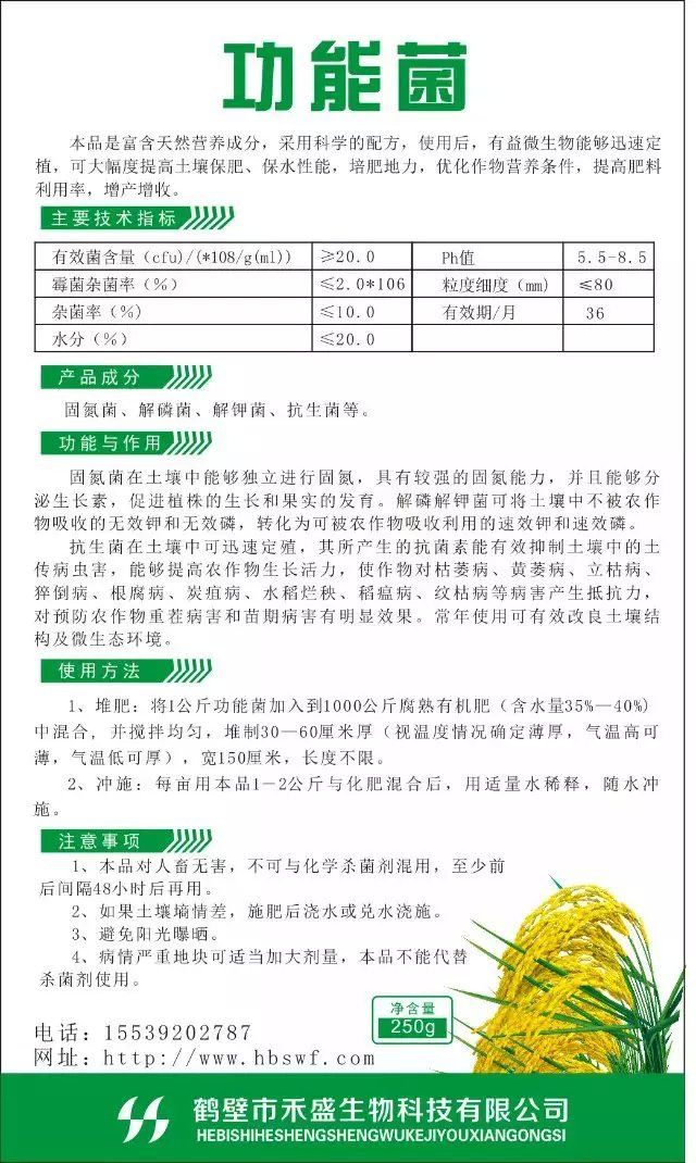 有機(jī)肥菌種圖片/有機(jī)肥菌種樣板圖 (3)