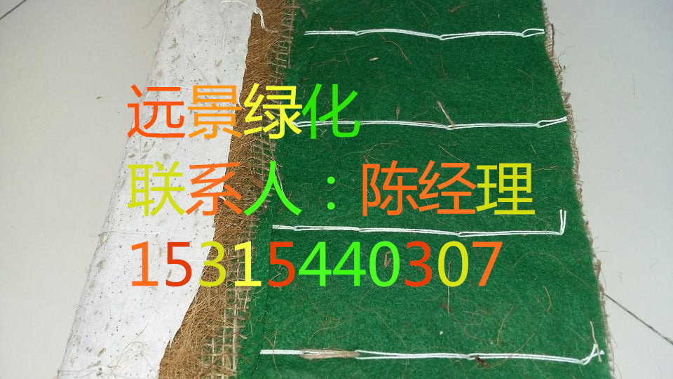 抗沖生態(tài)毯植生被圖片/抗沖生態(tài)毯植生被樣板圖 (3)