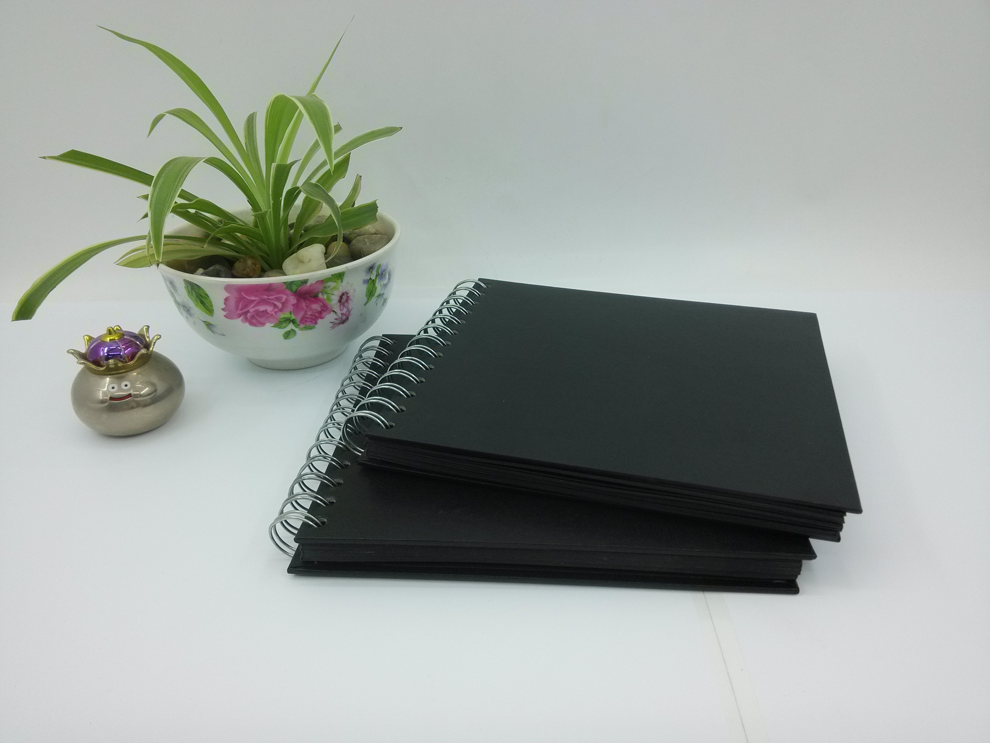 pp面相冊(cè) 廣東pp面相冊(cè)廠家 東莞pp面相冊(cè)廠家批發(fā)