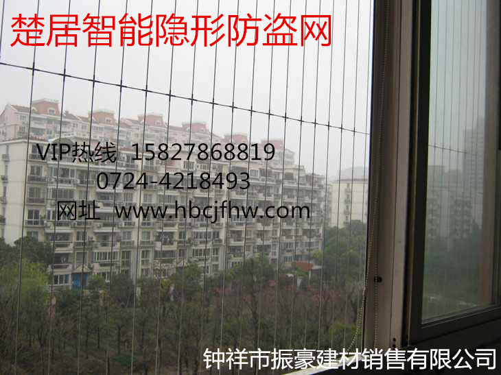 智能隱形防護(hù)網(wǎng)圖片/智能隱形防護(hù)網(wǎng)樣板圖 (4)