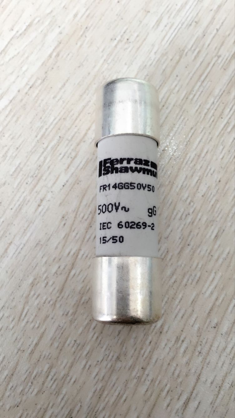 法國原裝現(xiàn)貨Ferraz羅蘭熔斷 法國原裝現(xiàn)貨熔斷器 現(xiàn)貨熔斷器FR14GG50V50