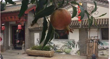 臨潼兵馬俑周邊農(nóng)家樂圖片