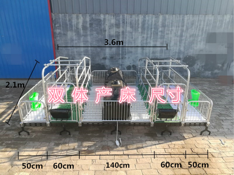 养猪 养猪设备母猪产床双体加厚产床复合漏粪板母猪产后分娩床自动化图片