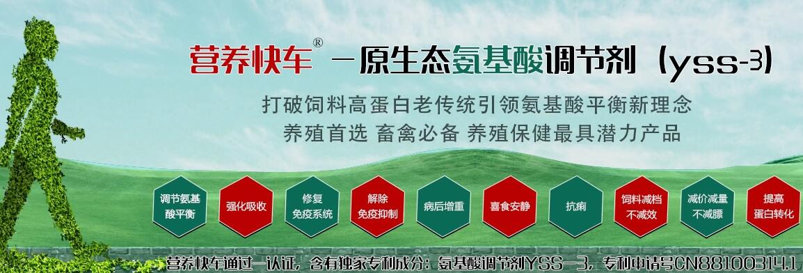 犢牛健壯素圖片